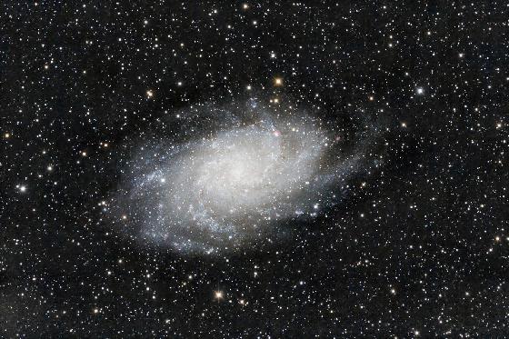 M33