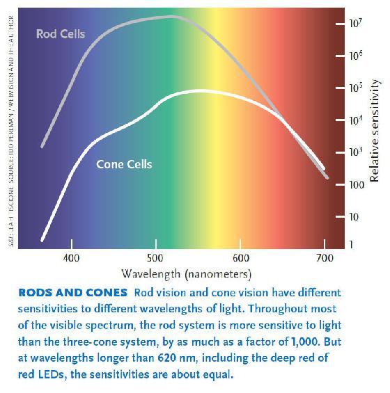 Cônes et bâtonnets
