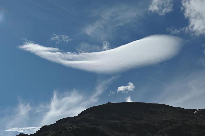 Baleine