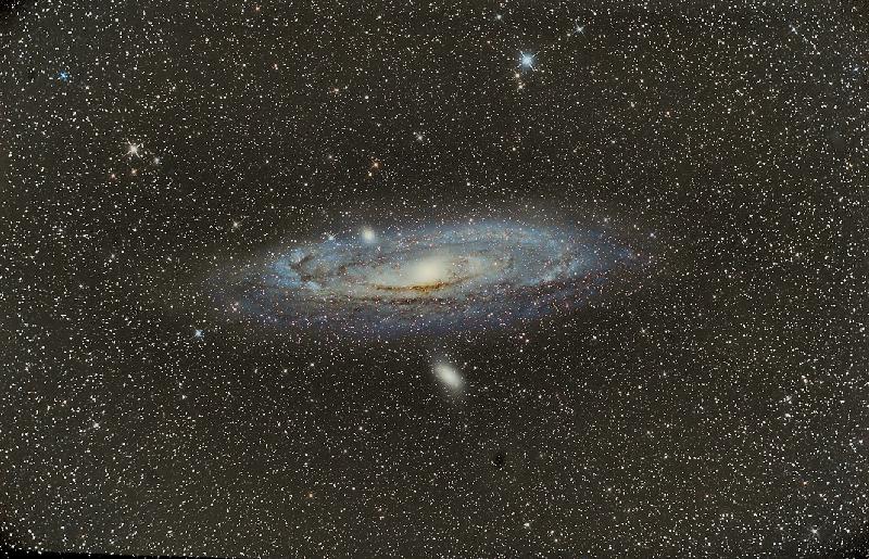 M31