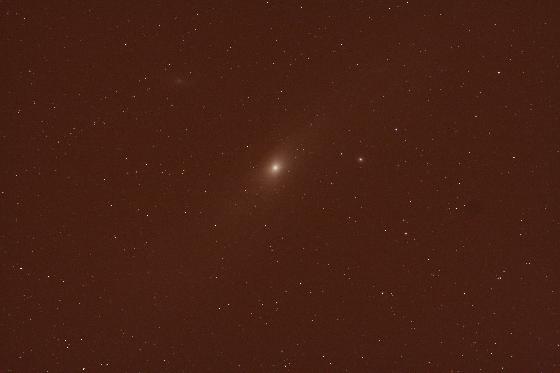Brute M31 Brute M31