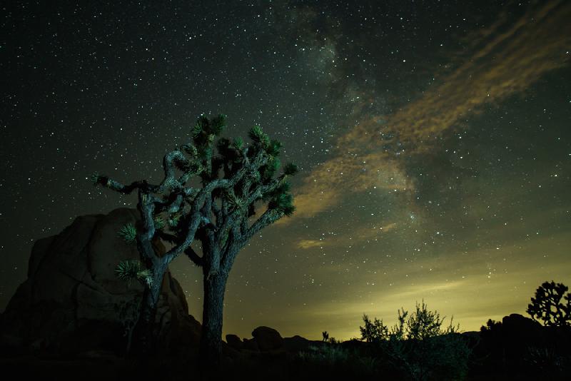 Voie Lactée Joshua Tree Voie Lactée Joshua Tree