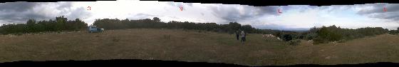 pano Grand Blé pano Grand Blé