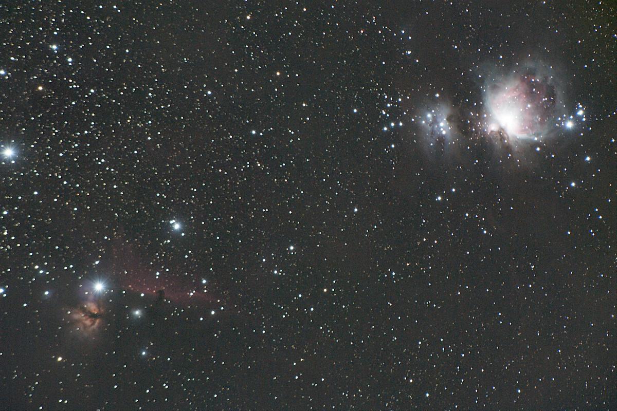 Orion et la Tête de Cheval Orion et la Tête de Cheval