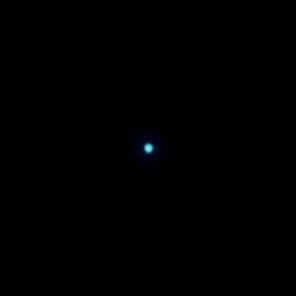 Neptune Neptune