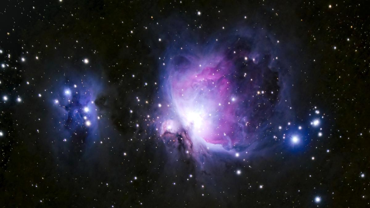 Orion