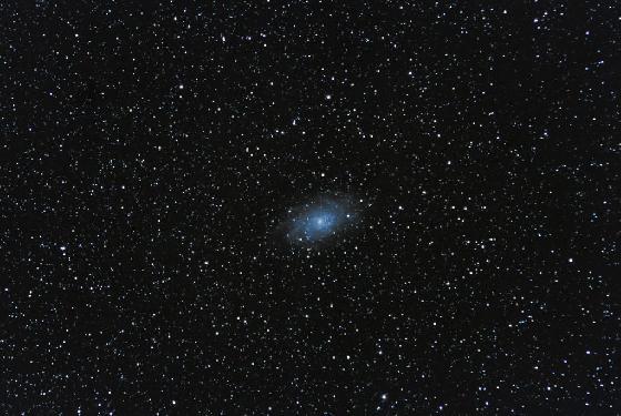 M33 M33
