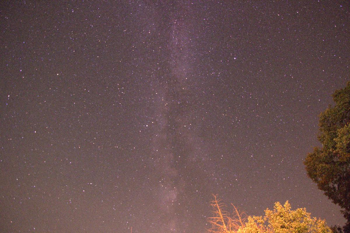 Voie lactée depuis mon jardin