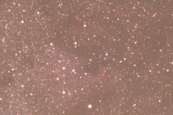 crop 100% dansle cygne