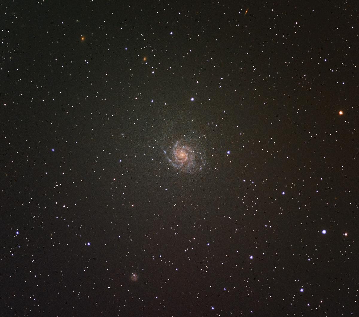 M101