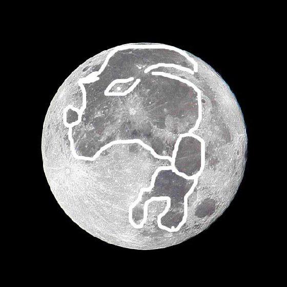 Lune chien ruse Lune chien ruse