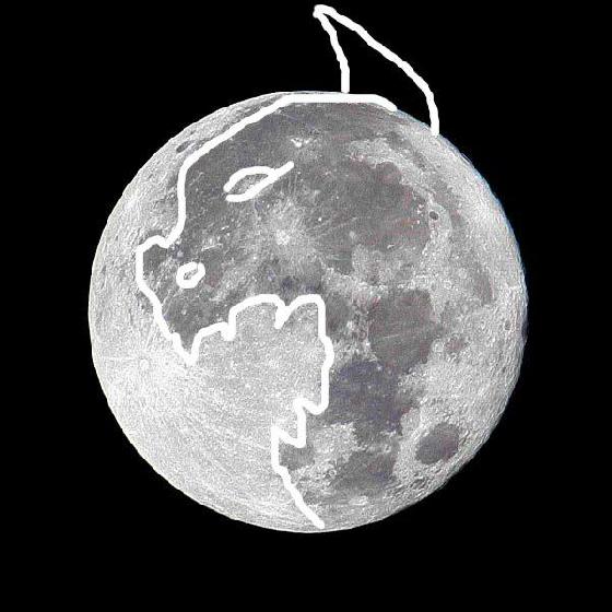 Lune lynx