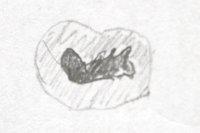 Soleil-2012-09-28-dessin-114-Hyperion 16 mm barlow x2.25.jpg
