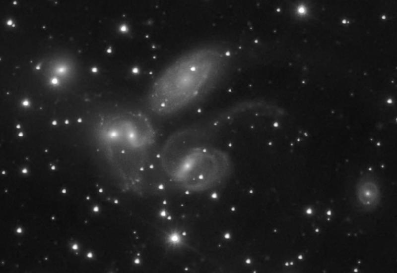 Quintette - Crop