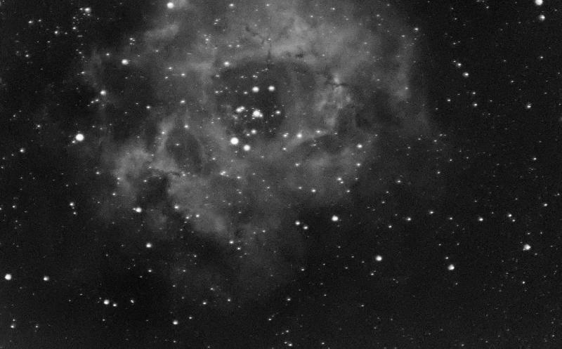 Rosette test 135mm Rosette test 135mm