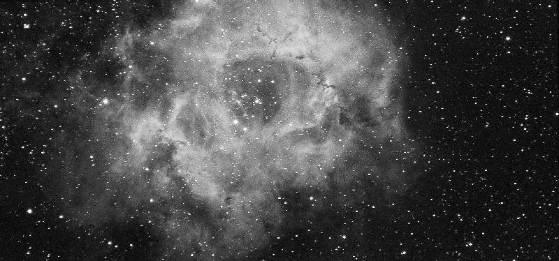 Rosette Rosette