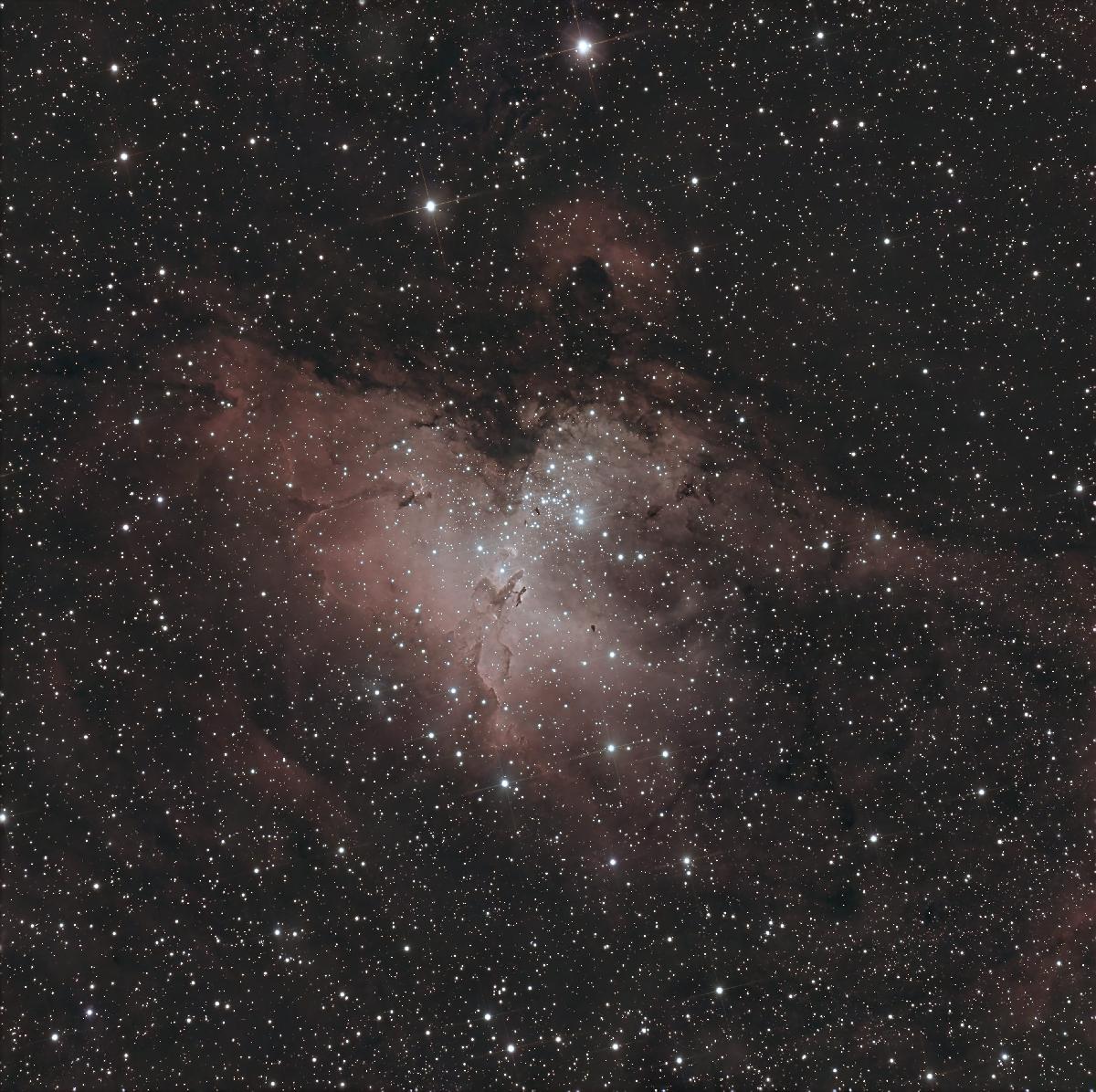 M16