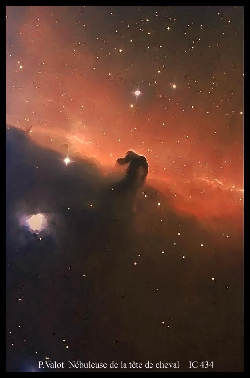 ic 434 ic 434