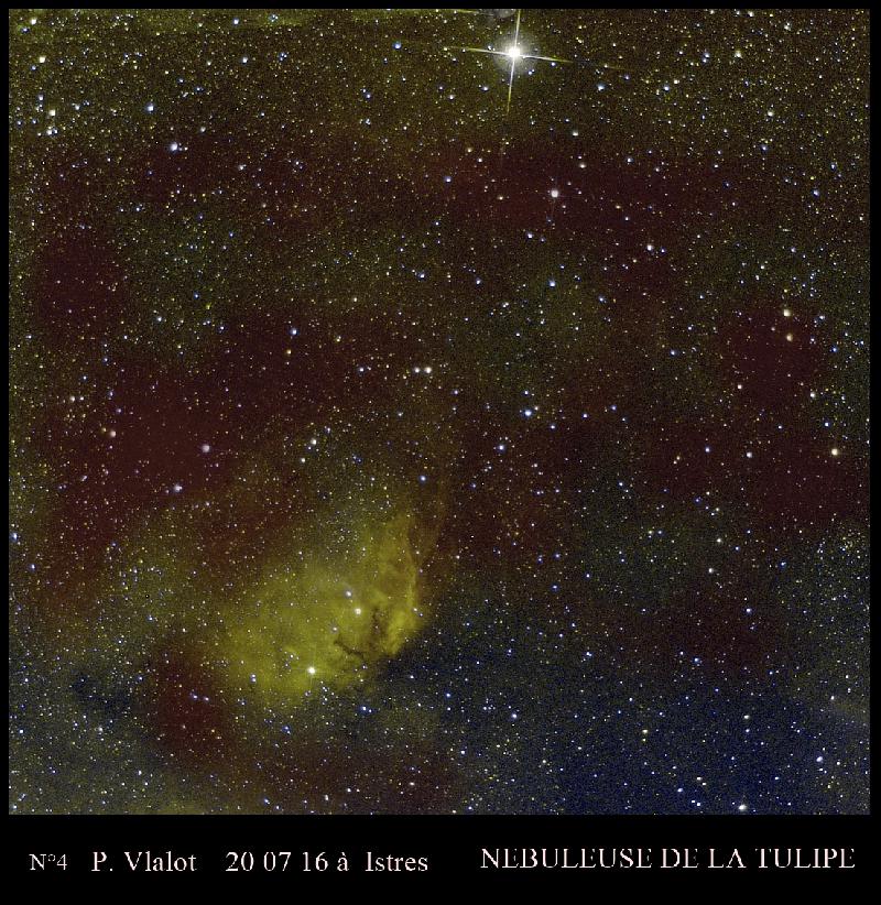 Nebuleuse de la TULIPE Nebuleuse de la TULIPE