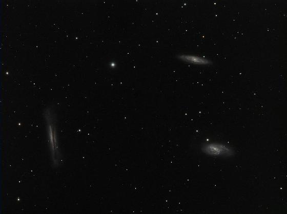 Trio du Lion Trio du Lion