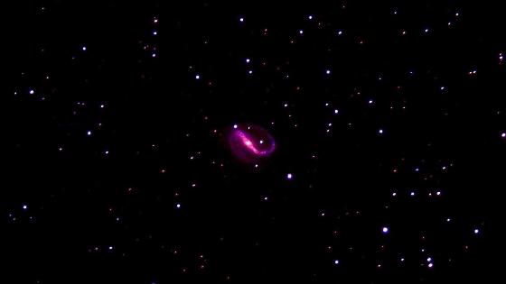 NGC:7479.Pegase. NGC:7479.Pegase.