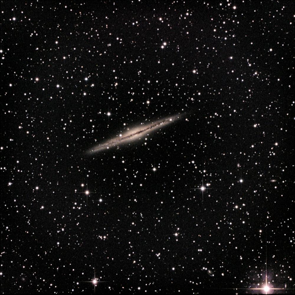 NGC891 NGC891