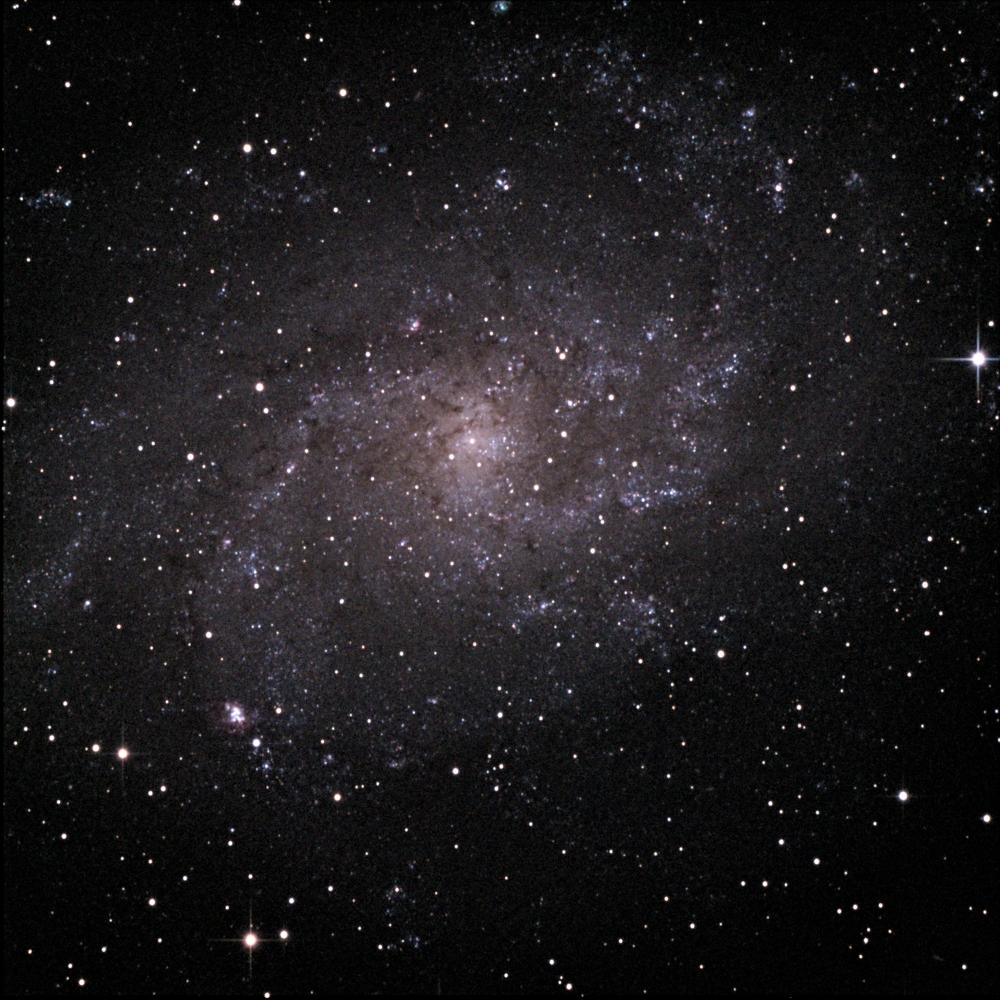 M33