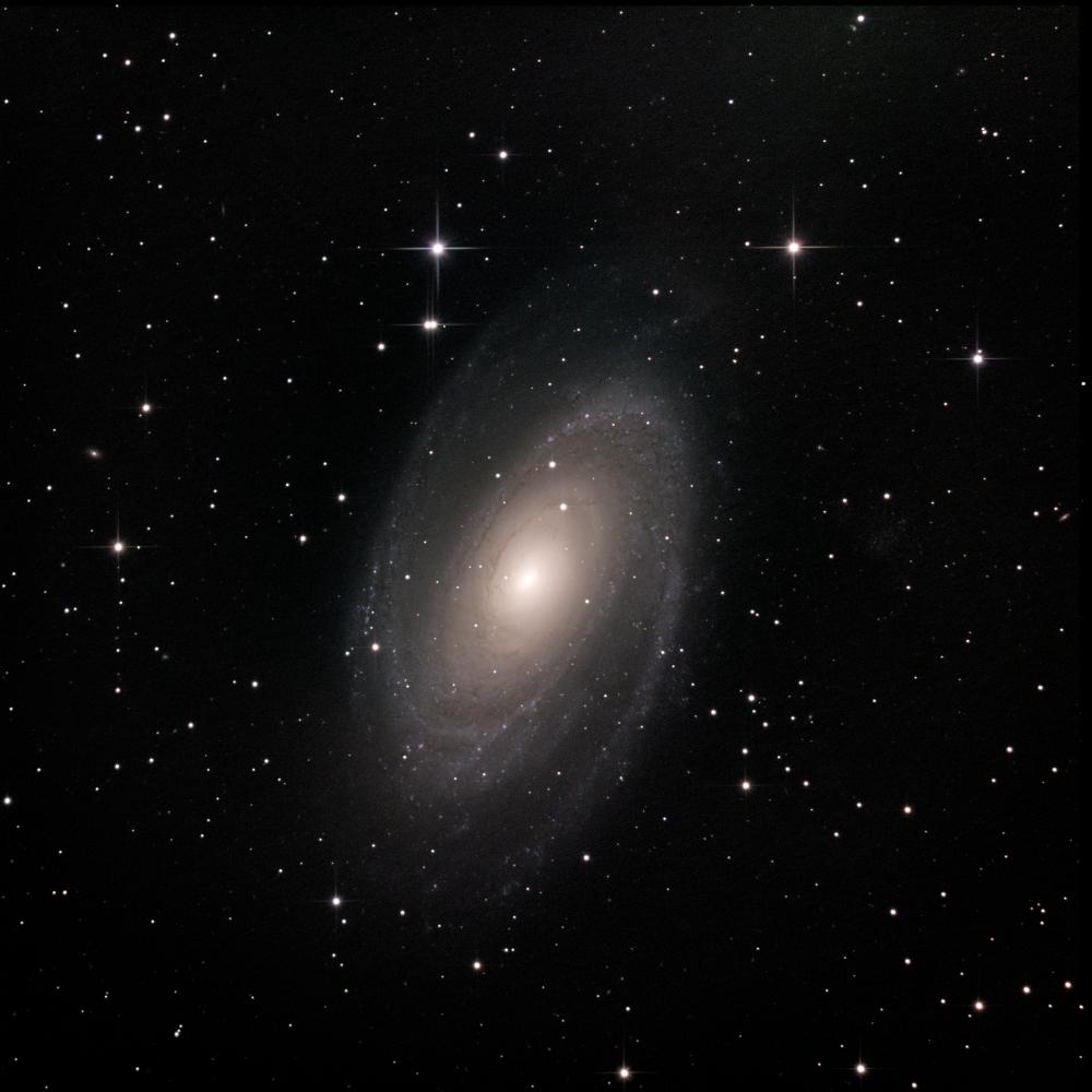 M81