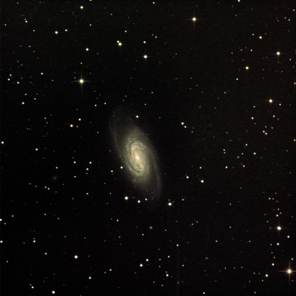 NGC2903