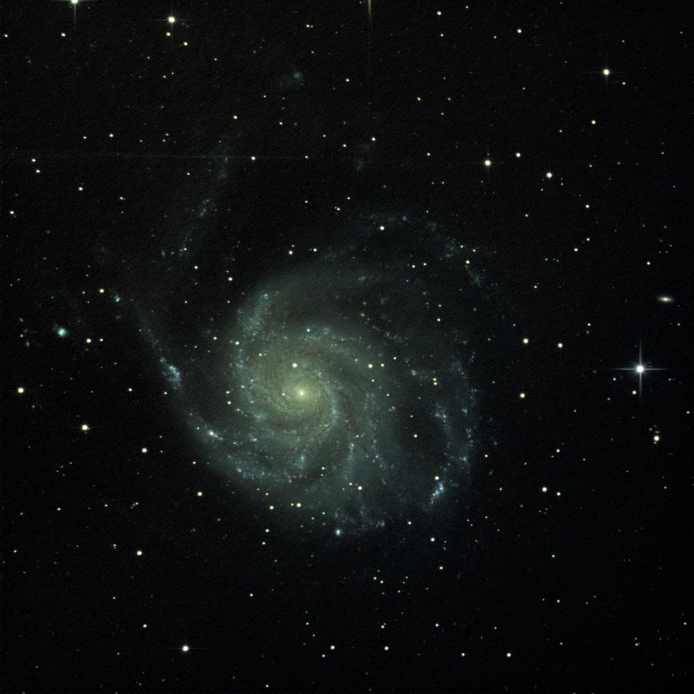 M101 M101