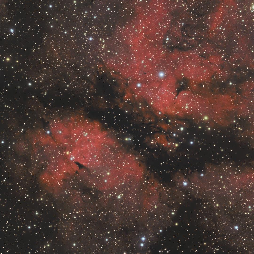 IC1318