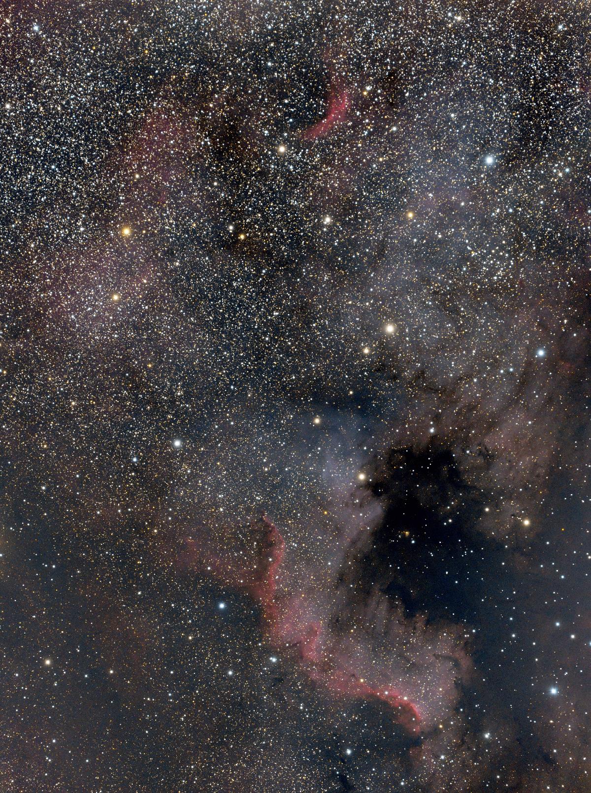 NGC7000 TOA130 Z6 NGC7000 TOA130 Z6