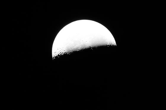 Lune Lune