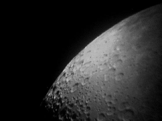 lune lune