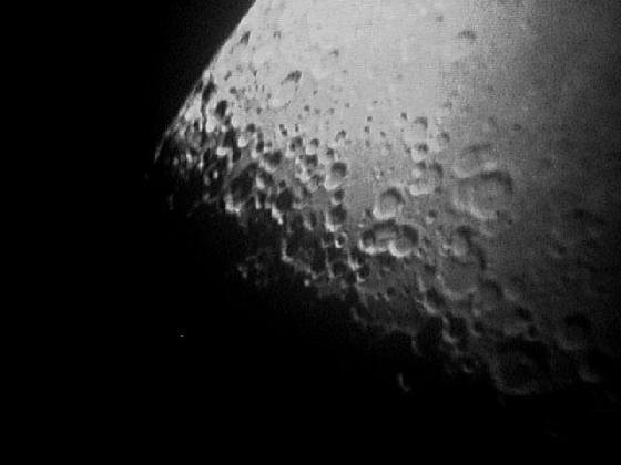 lune lune