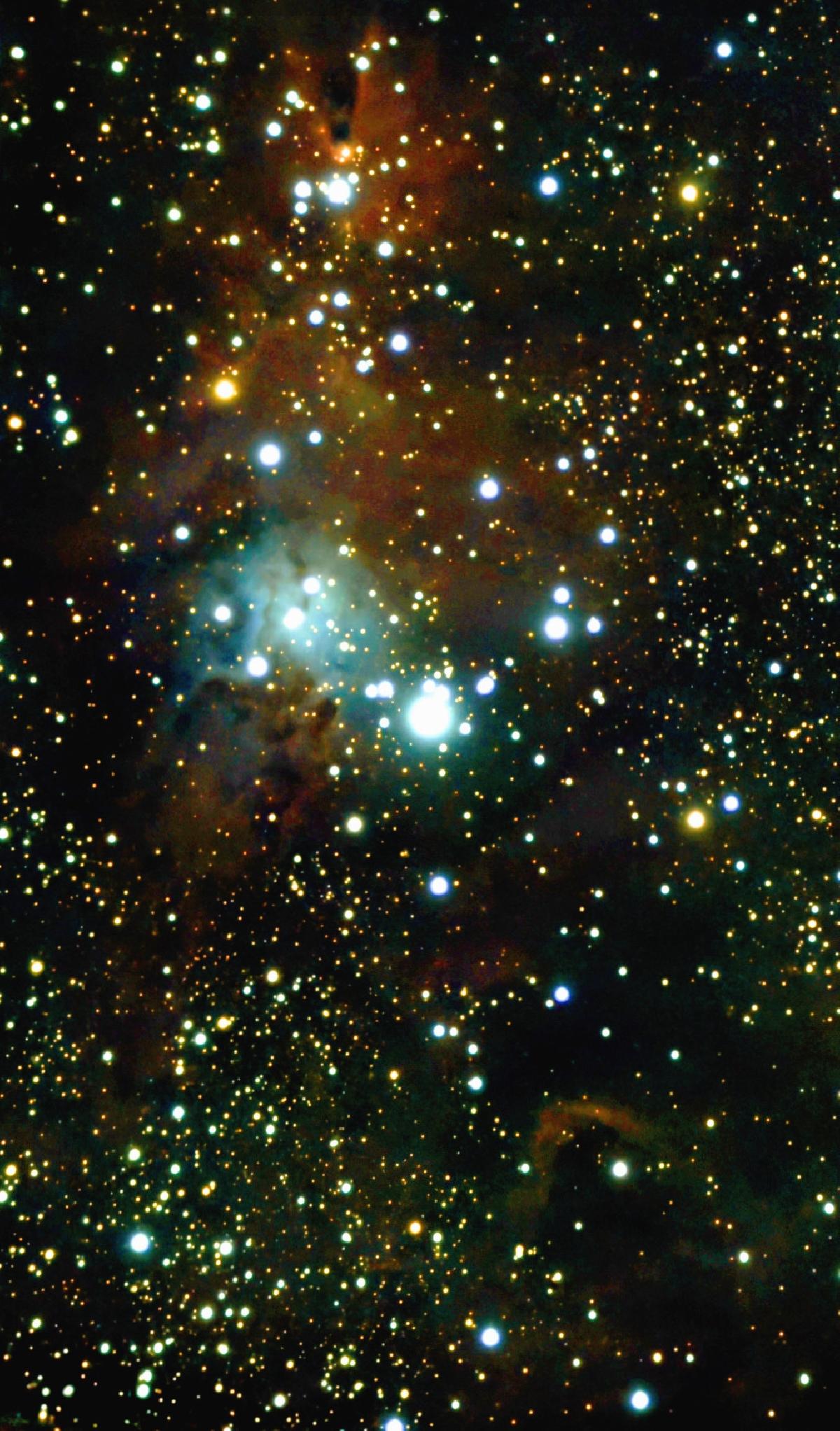 NGC 2264 NGC 2264