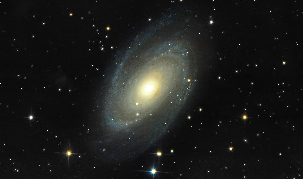 M81 M81