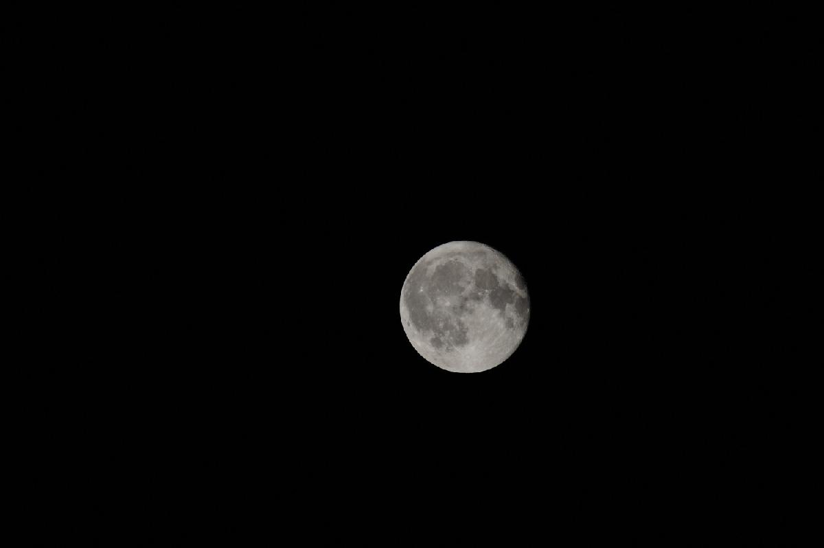 lune D3 FX lune D3 FX