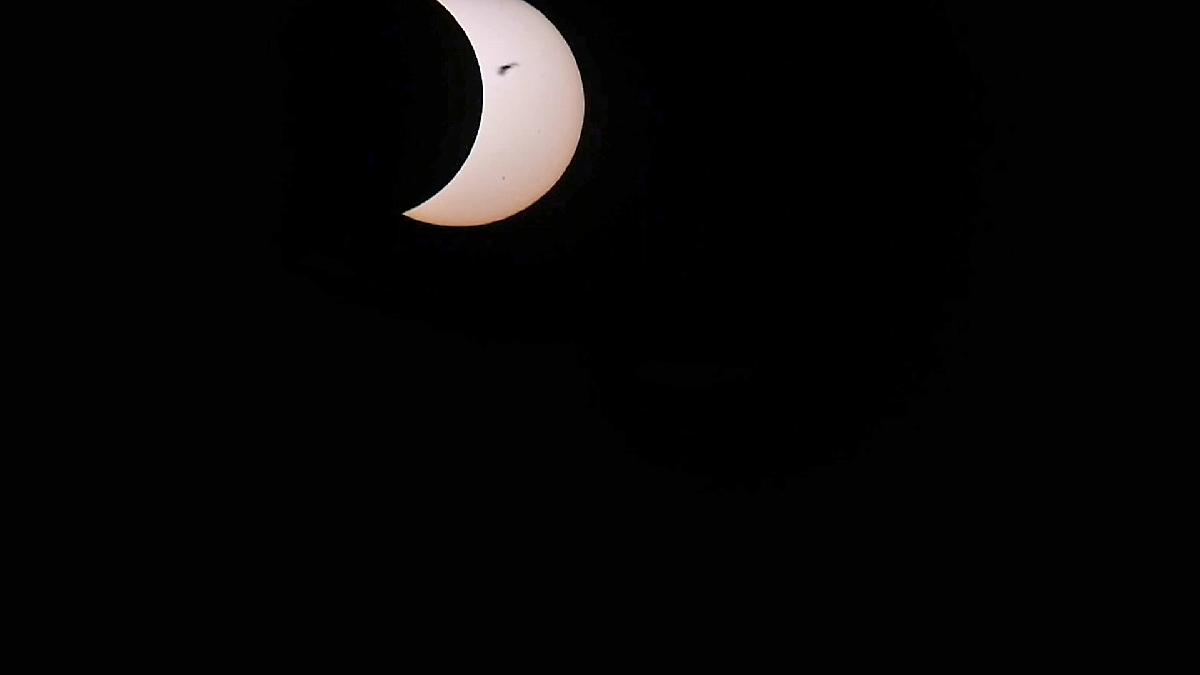 oiseau éclipse oiseau éclipse