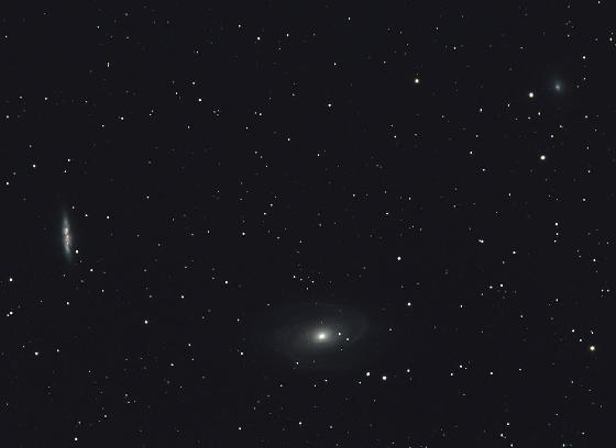M81