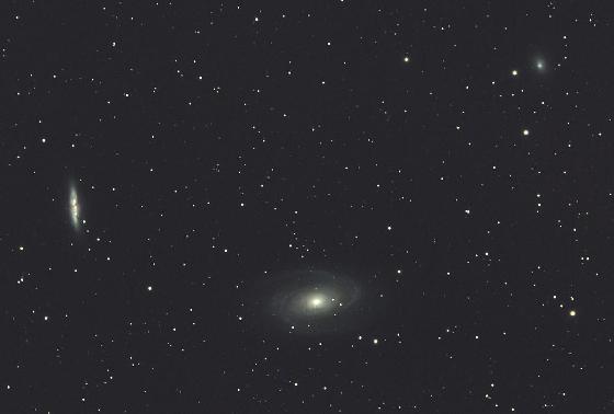 M81