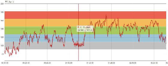 Cardio