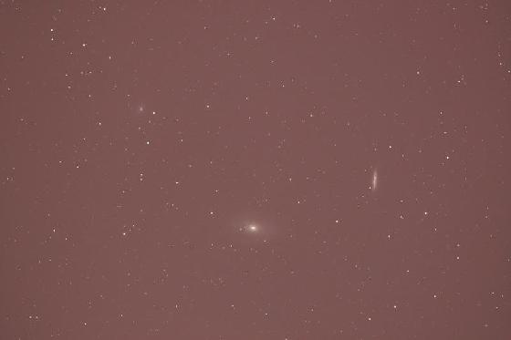 brute M81 brute M81