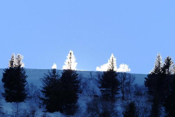 Sapins illuminés Sapins illuminés