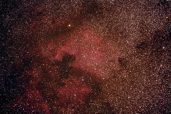 NGC7000 pdt la Nuit des étoiles