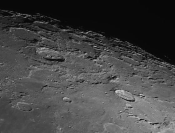 philolaus philolaus