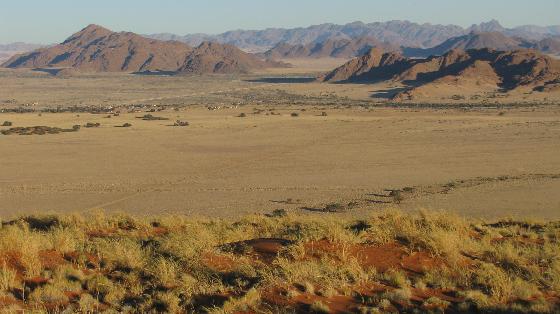 Namib1