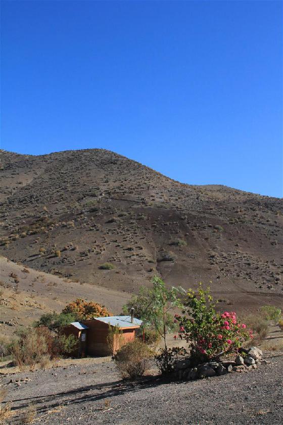 La canelilla chambre denis La canelilla chambre denis