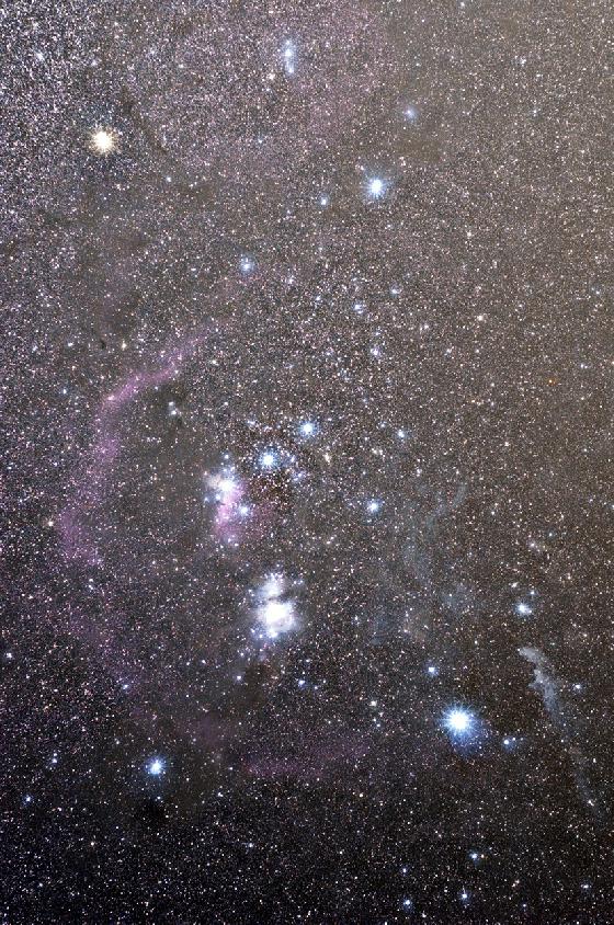 orion david