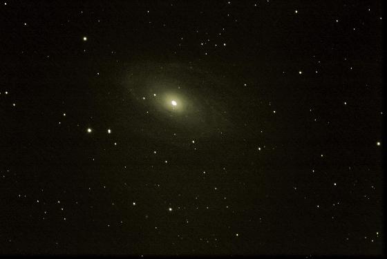M81